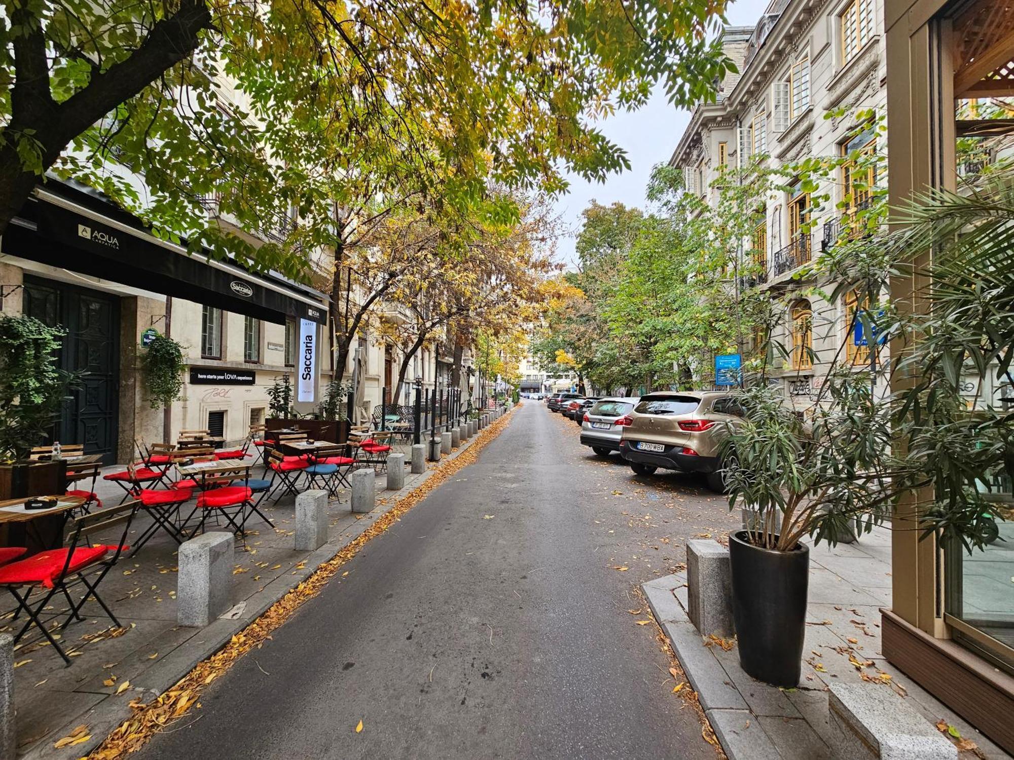 Apartment Historic Charm Meets Modern Comfort: Athenaeum 2br *